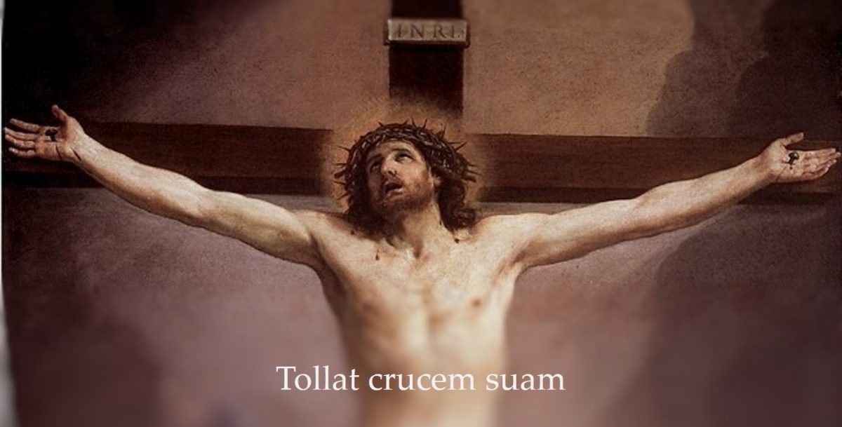Tollat crucem suam